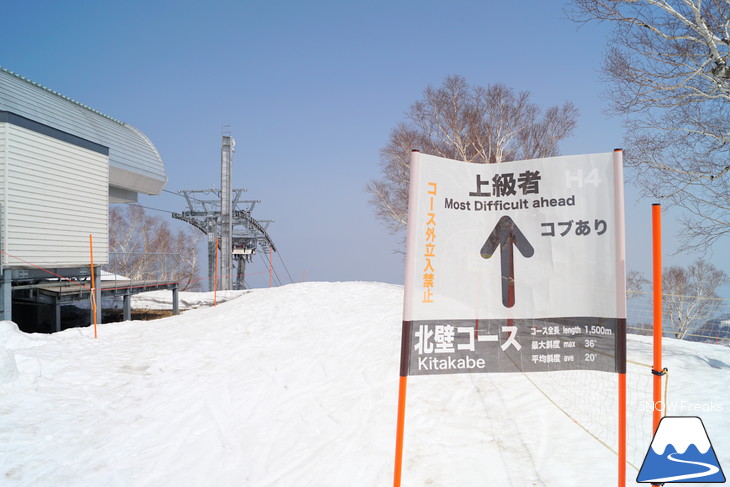 サッポロテイネ 現在積雪 215cm。山麓まで思いっきり滑れます！